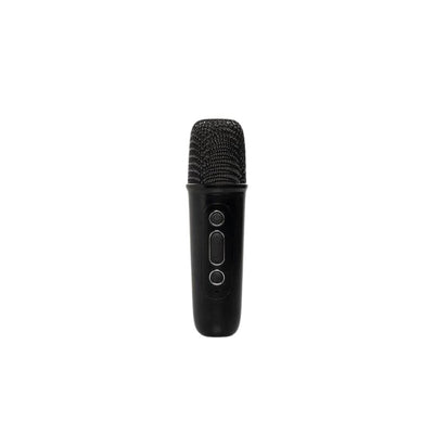 Portable Karaoke Speaker Set with Wireless Microphone-TERAMO